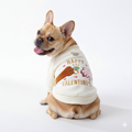 Valentine Sweater