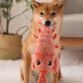 Wiggly Lobster - Interactive Dog Toy