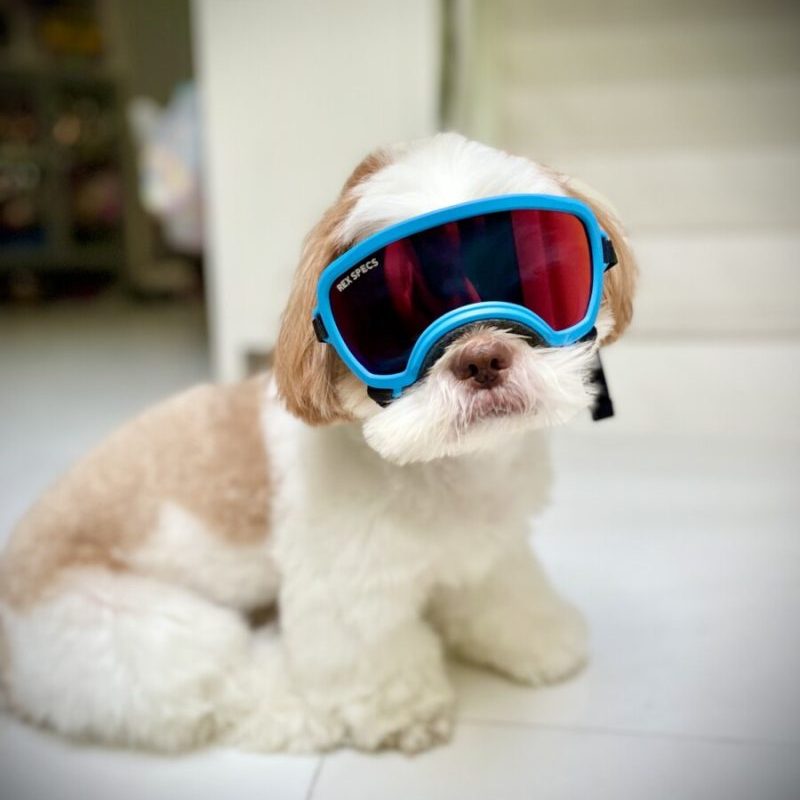 Goggles for Dogs - Small Wide