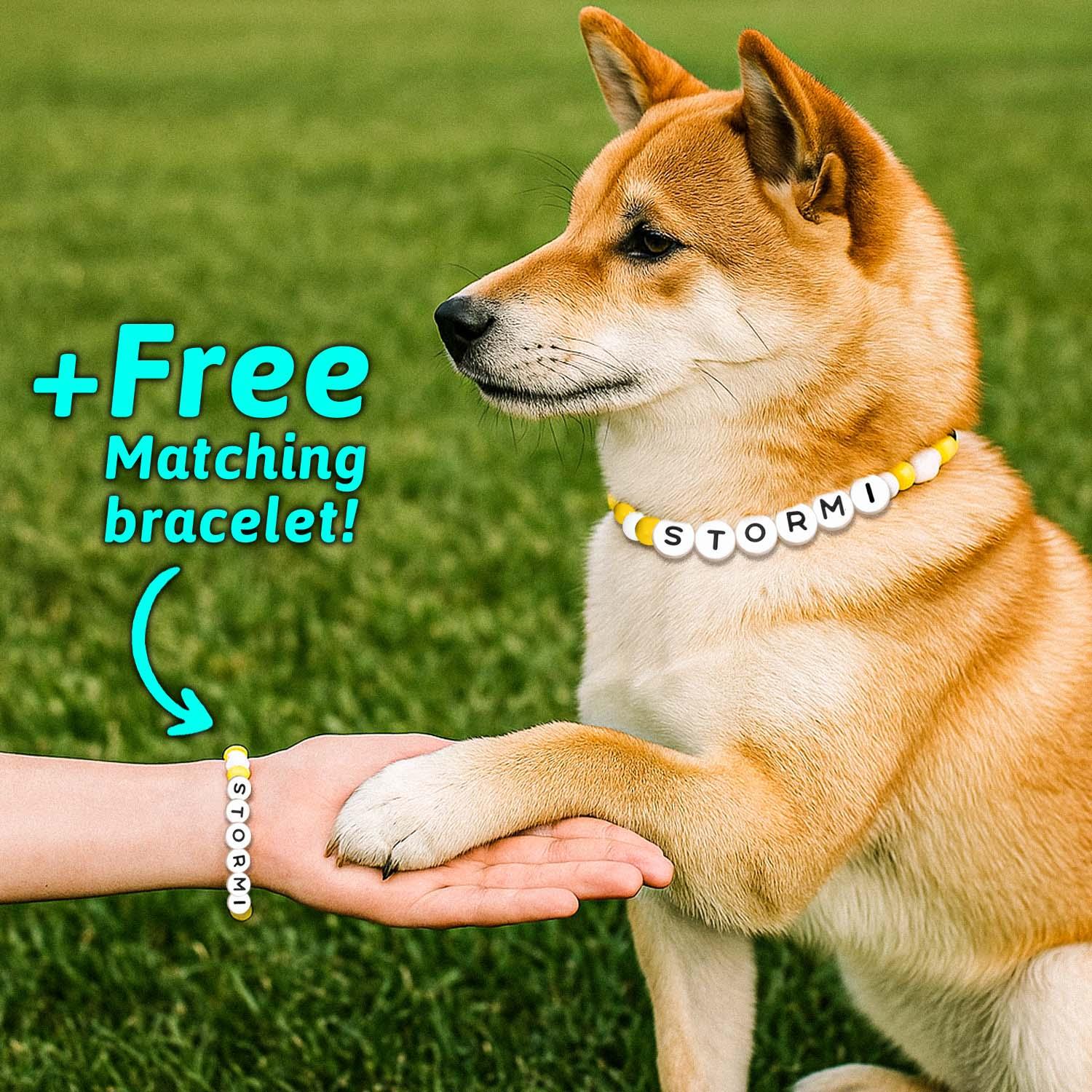 Personalized Beaded Pet Collar with Name