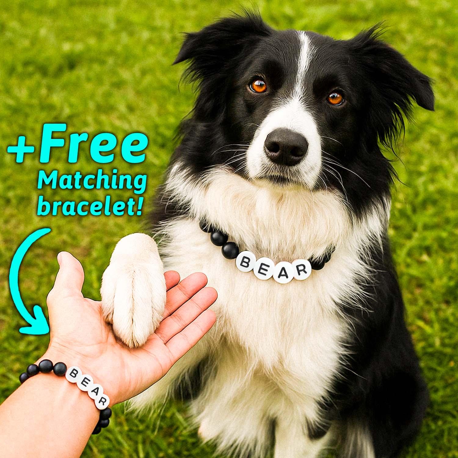 Personalized Beaded Pet Collar with Name