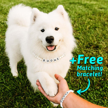 Personalized Beaded Pet Collar with Name