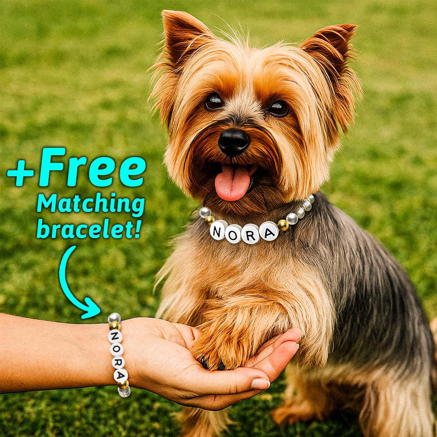 Personalized Beaded Pet Collar with Name