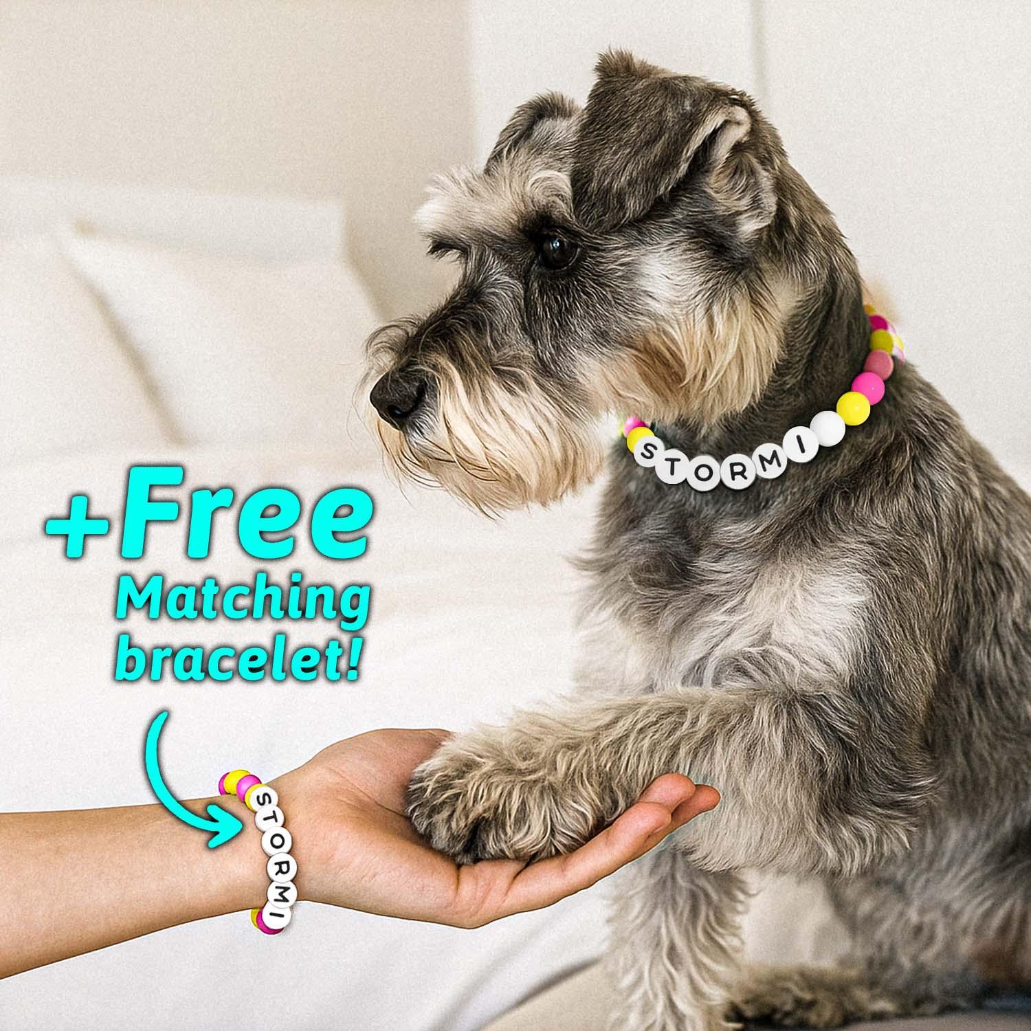 Personalized Beaded Pet Collar with Name