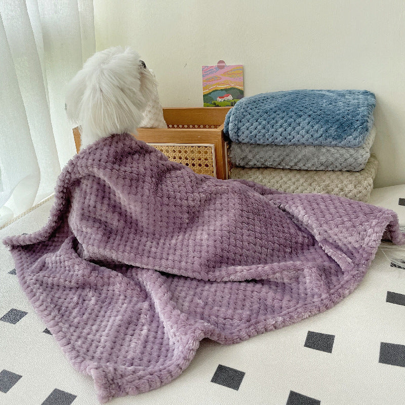Personalized Warm Pet Blanket for Comfort & Unique