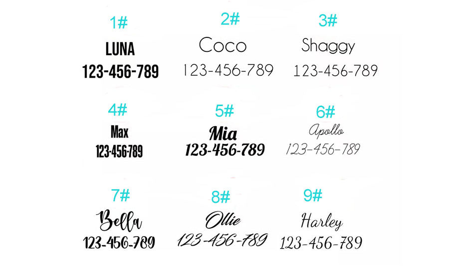 Personalize Dog Collar Leash Set with Bow Xmas Santa Collar for Puppies Engraved Pet Name