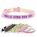Personalized Embroidered Dog Collar – Adjustable Nylon with Custom Name & Number