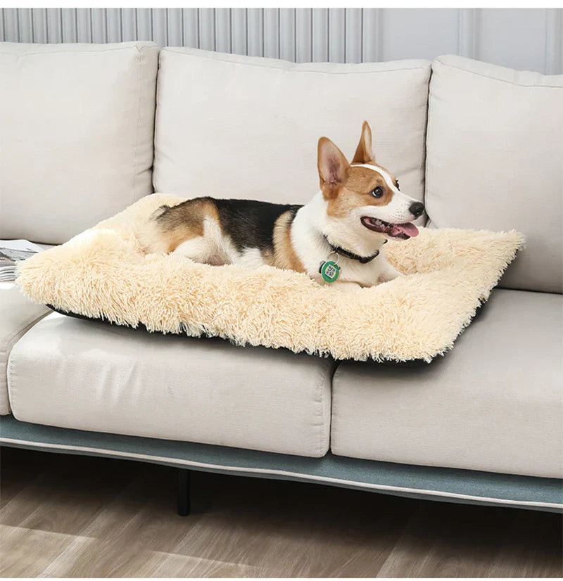 Paw - Soft Mat