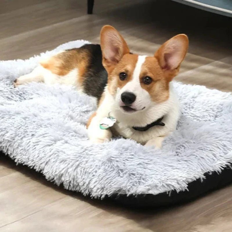 Paw - Soft Mat