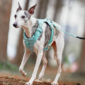 Anti - Pull Dog Harness With Adjustable Lead