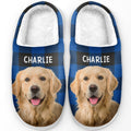 Custom Photo Fluffy Slippers - Personalized Birthday Gifts For Dog Cat Lovers