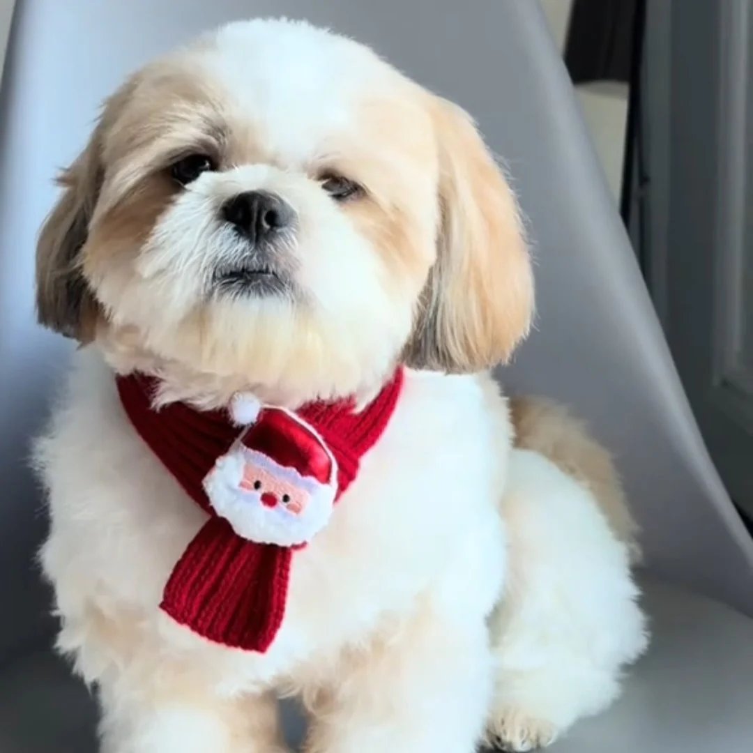 Festive Friends Pet Knit Scarf