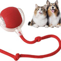 Pet Interactive Ball Toy – Engaging Fun for Dogs & Cats