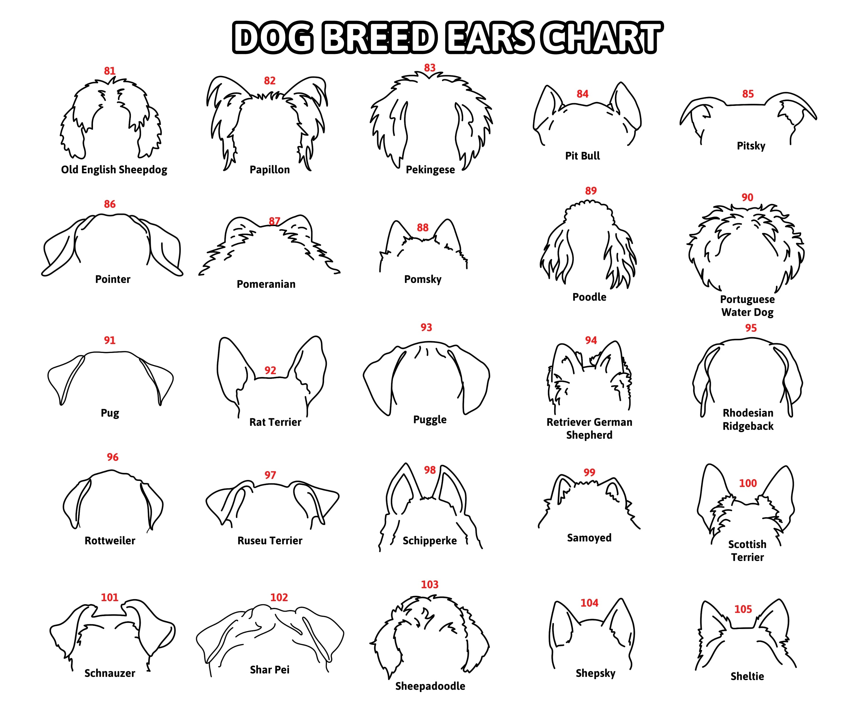 Boho Pet Memorial Decor Framed Dog Ear Drawing Keepsake