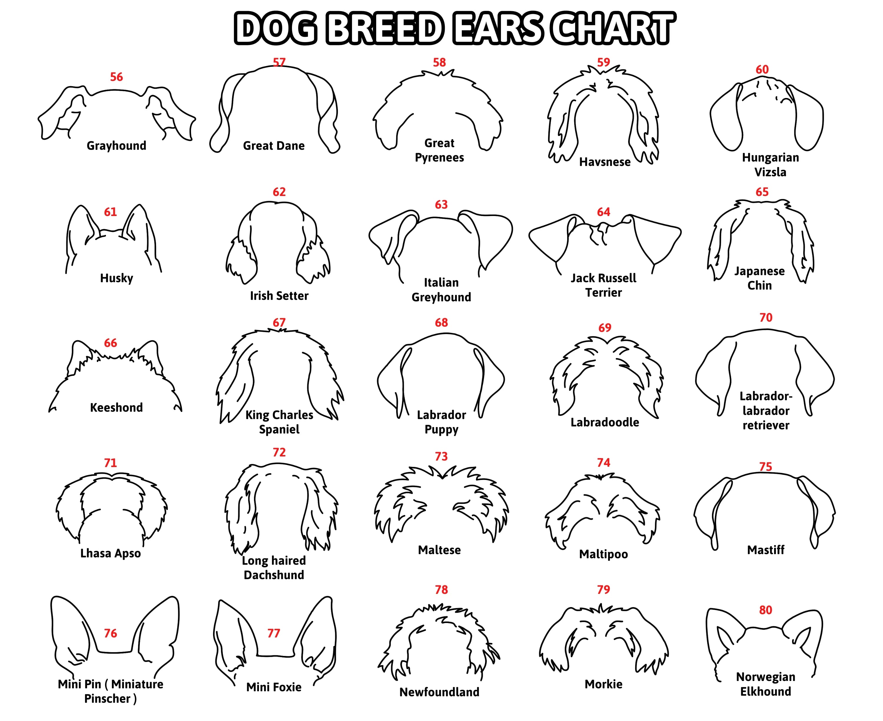 Boho Pet Memorial Decor Framed Dog Ear Drawing Keepsake