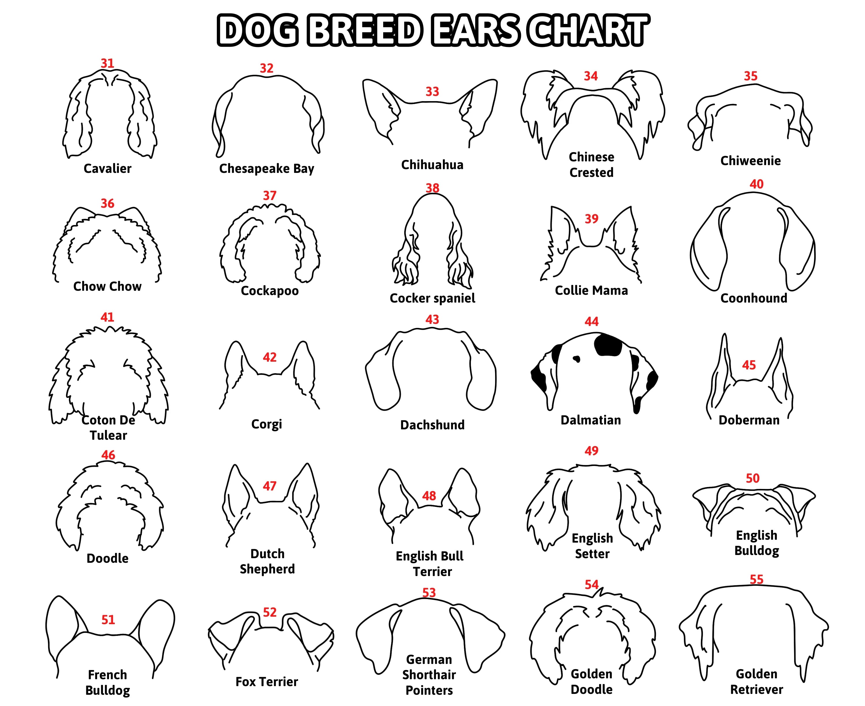 Boho Pet Memorial Decor Framed Dog Ear Drawing Keepsake