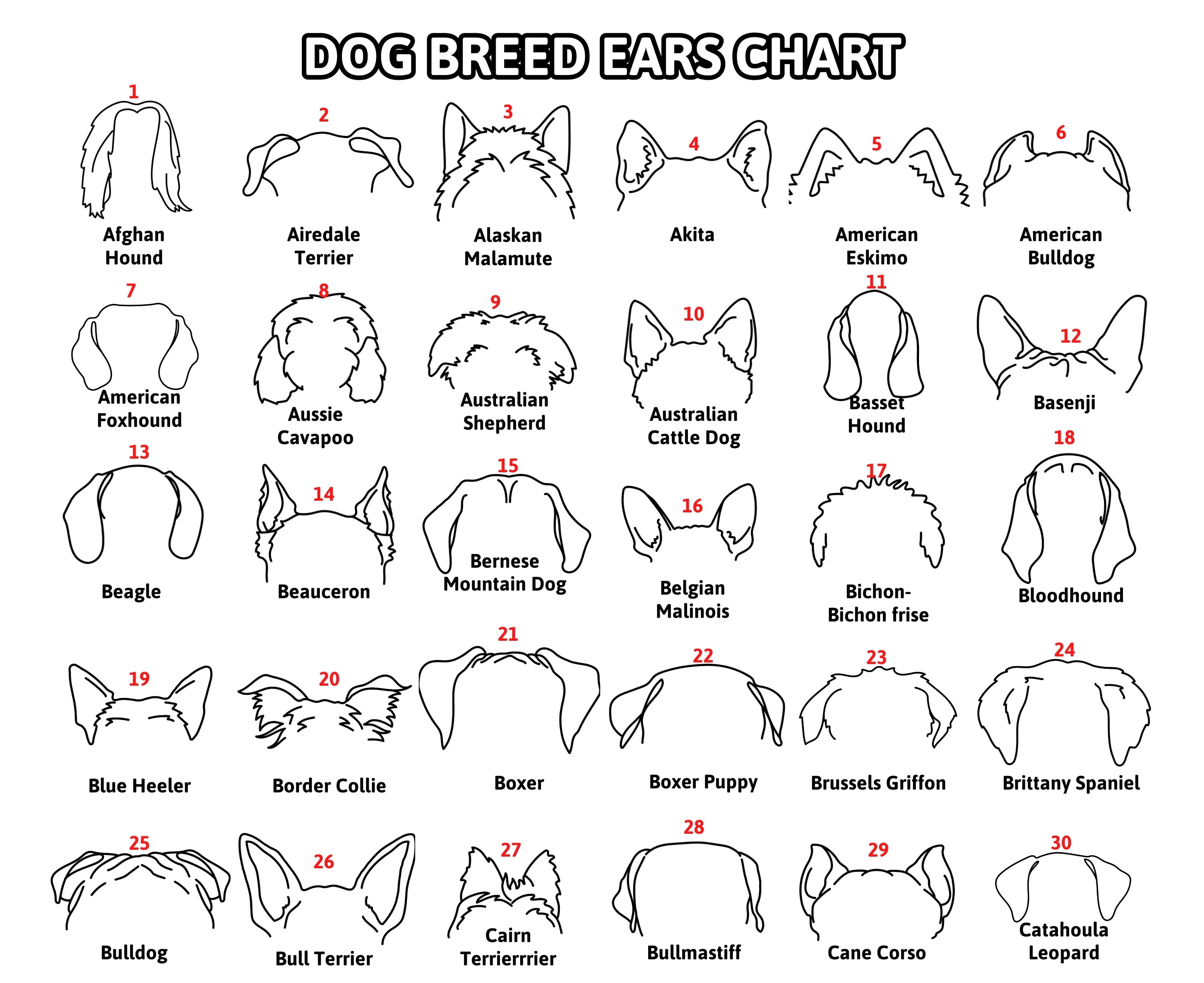 Boho Pet Memorial Decor Framed Dog Ear Drawing Keepsake