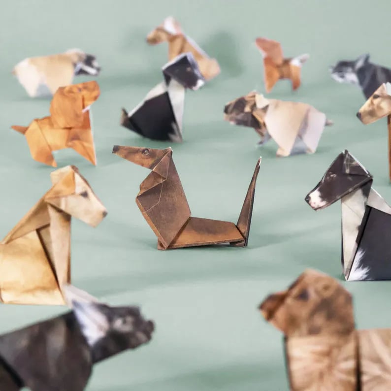 Easy DIY Paper Cats Kit