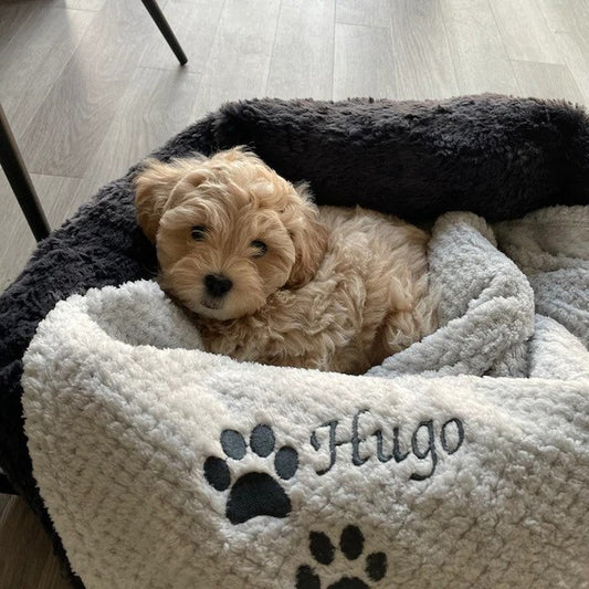 Personalized Warm Pet Blanket for Comfort & Unique