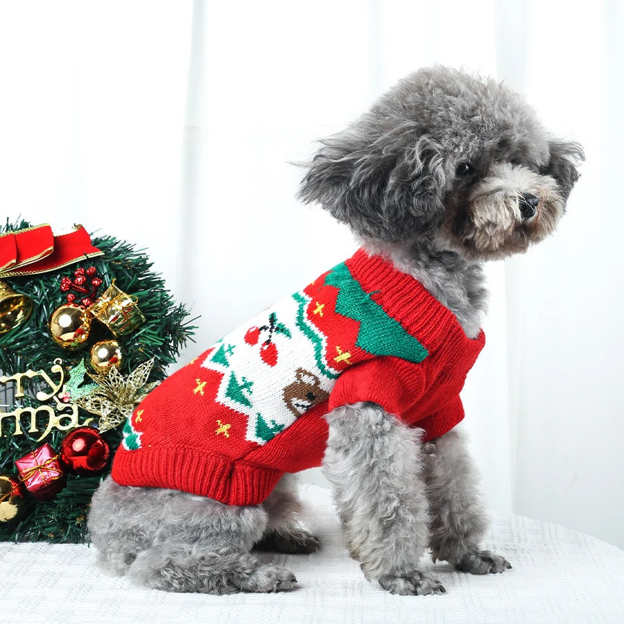 Beary Merry Sweater