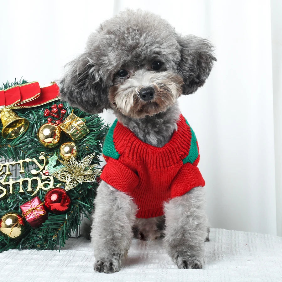 Beary Merry Sweater
