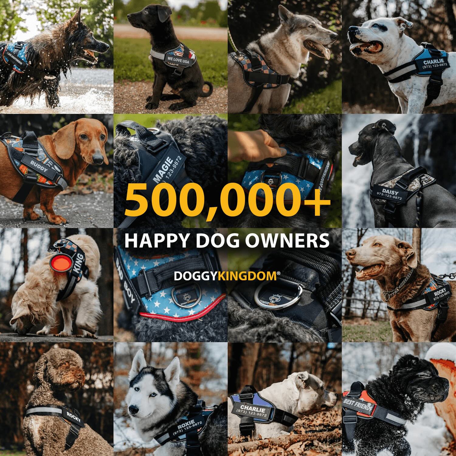 Custom No Pull Dog Harness with Name – Personalized Adjustable Vest for Training & Walking