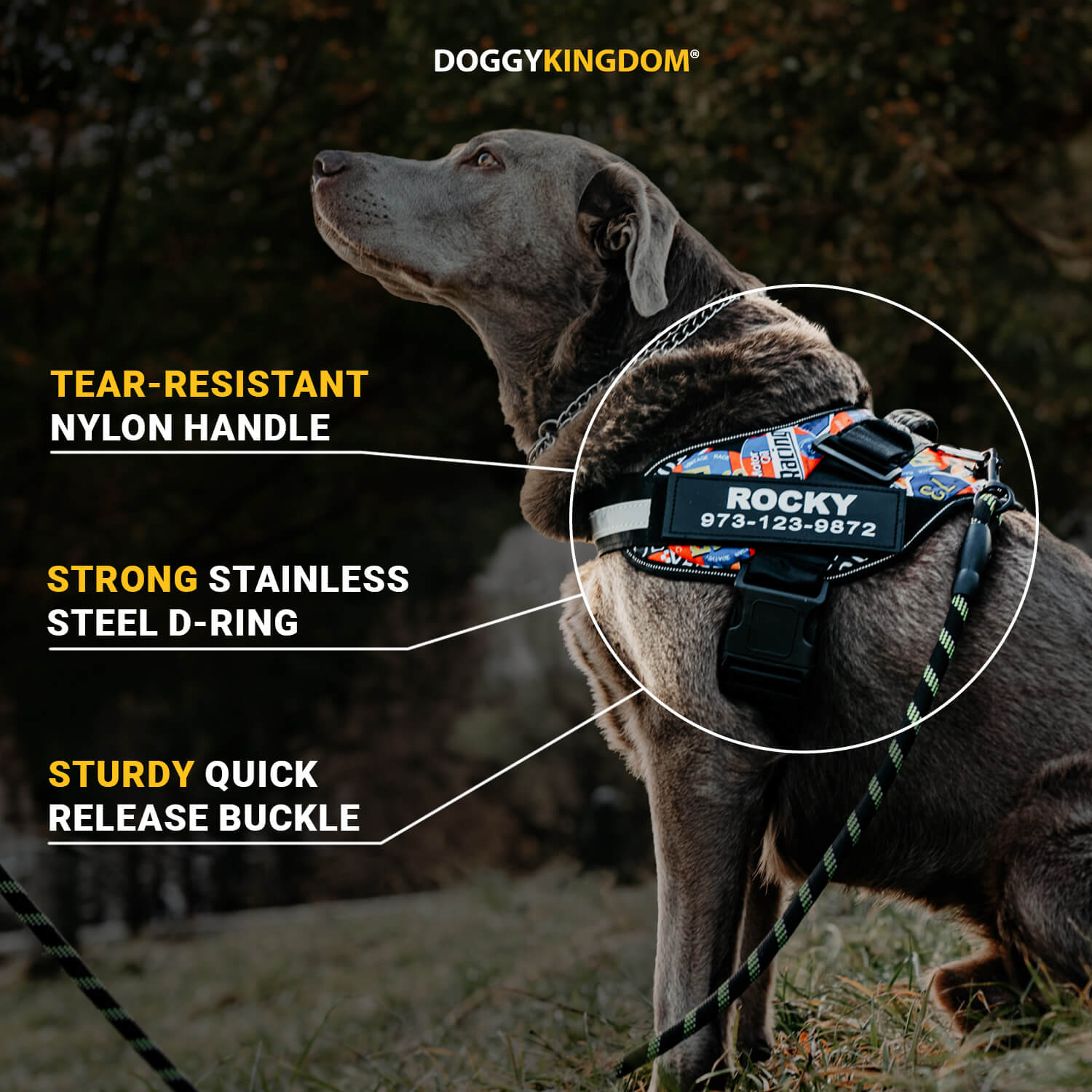 Custom No Pull Dog Harness with Name – Personalized Adjustable Vest for Training & Walking