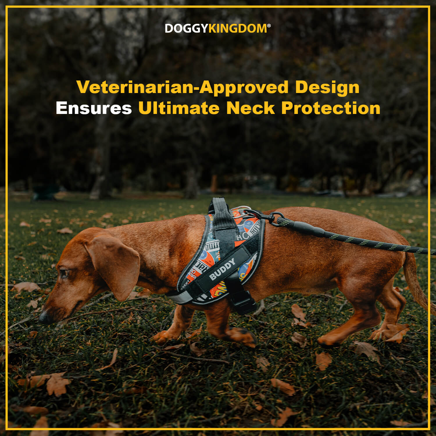 Custom No Pull Dog Harness with Name – Personalized Adjustable Vest for Training & Walking