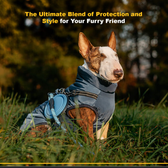 Winter Jacket for Dogs