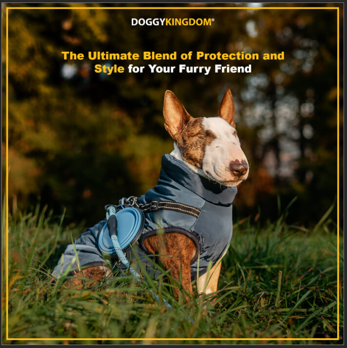 Winter Jacket for Dogs