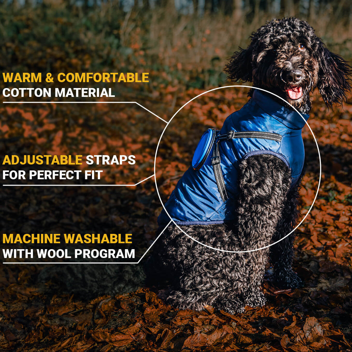Winter Jacket for Dogs