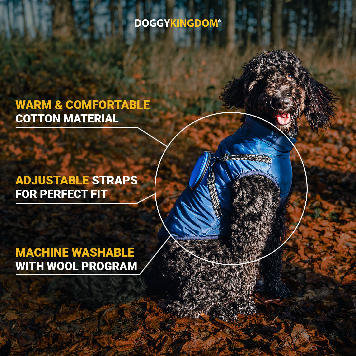 Winter Jacket for Dogs