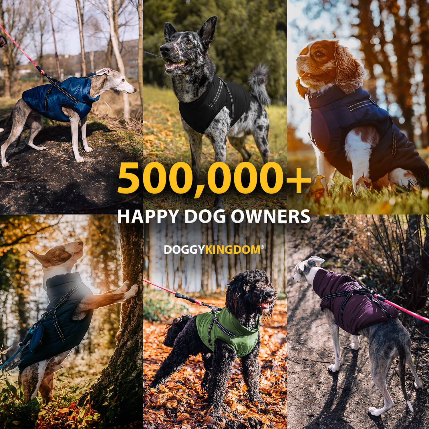 Winter Jacket for Dogs