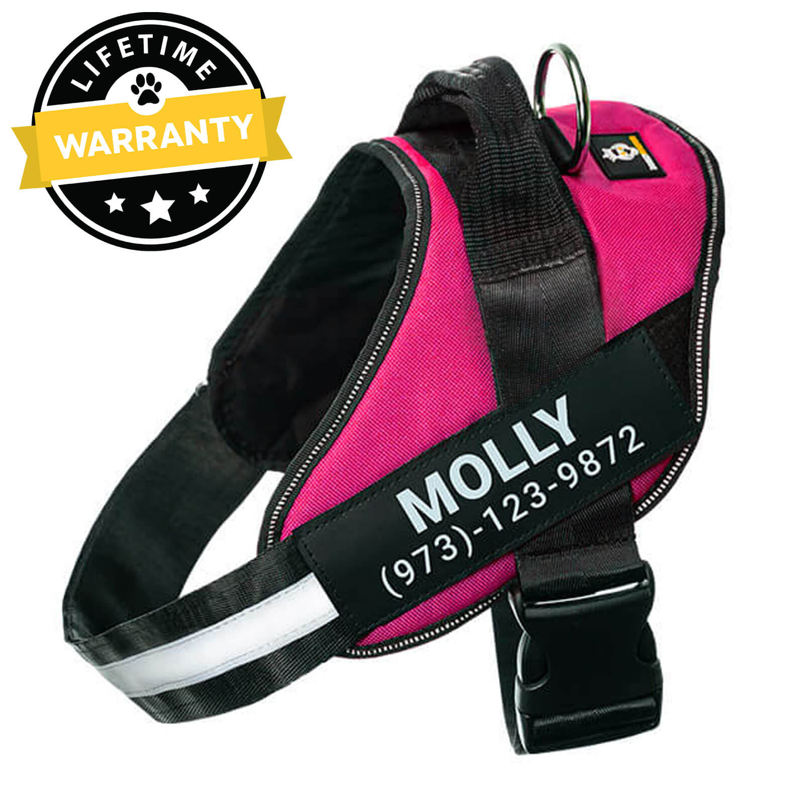 Custom No Pull Dog Harness with Name – Personalized Adjustable Vest for Training & Walking