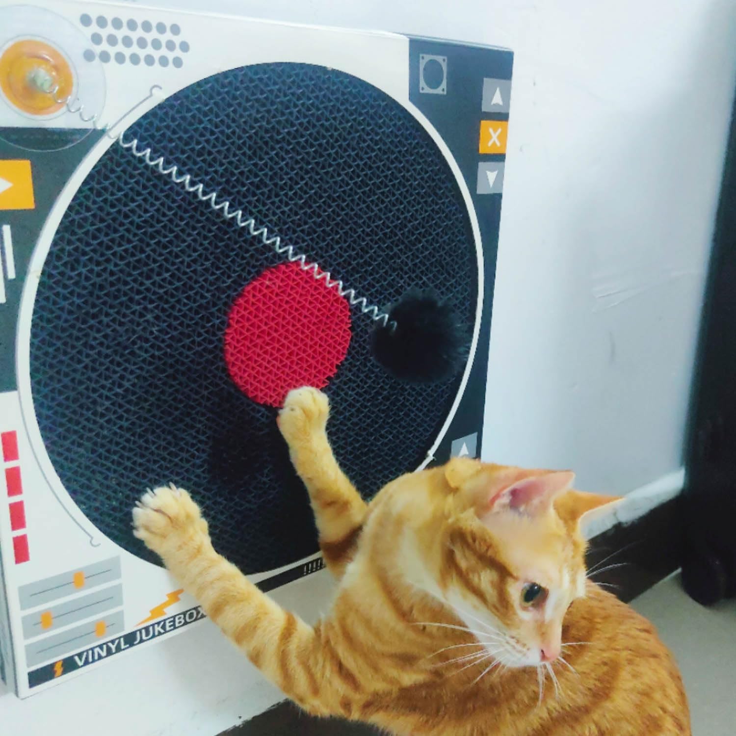 Record Player Cat Scratcher Toy