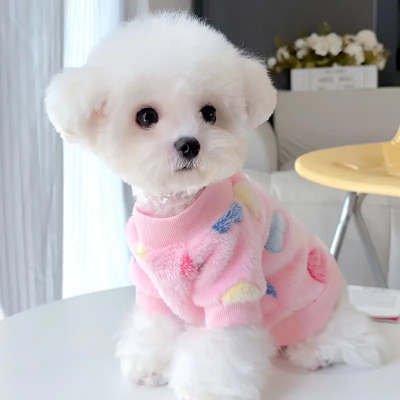 Paws Sweater