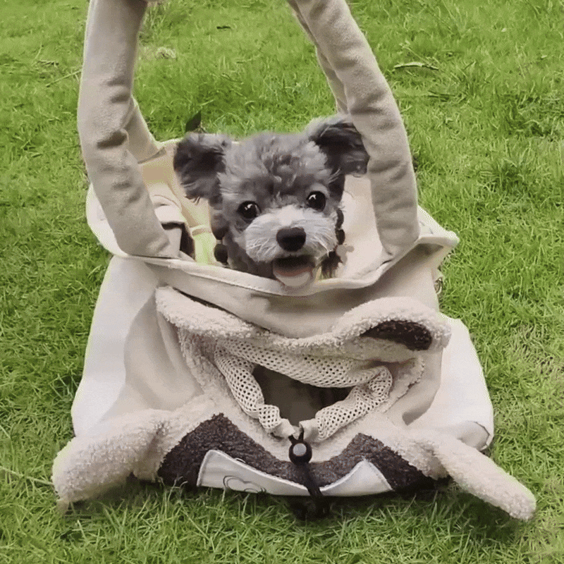 Cute Travel Carrier for Dogs & Cats (Pad + Strap Included)