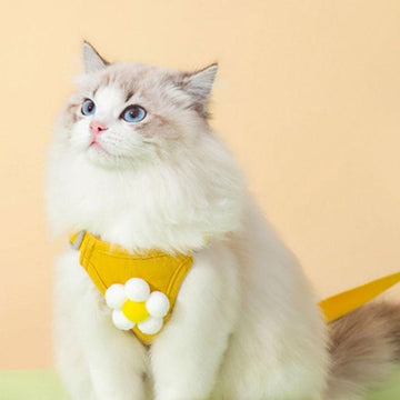 Flower Cat Harness 3 Color Cute Travel Leash Set