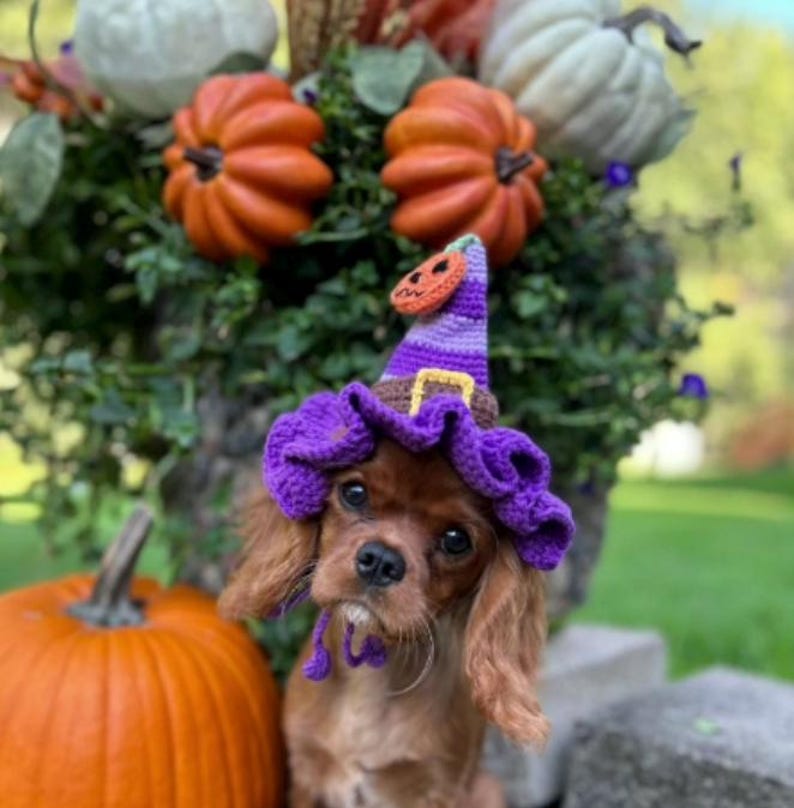 Enchanting Halloween Magic Hat