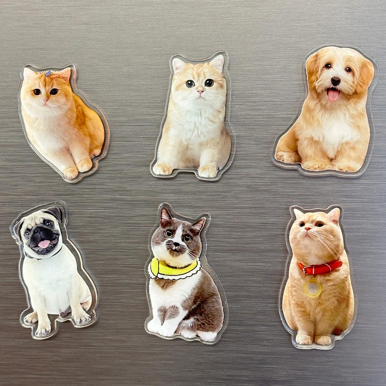 Custom Cat Magnet Personalized Pet Face Magnet