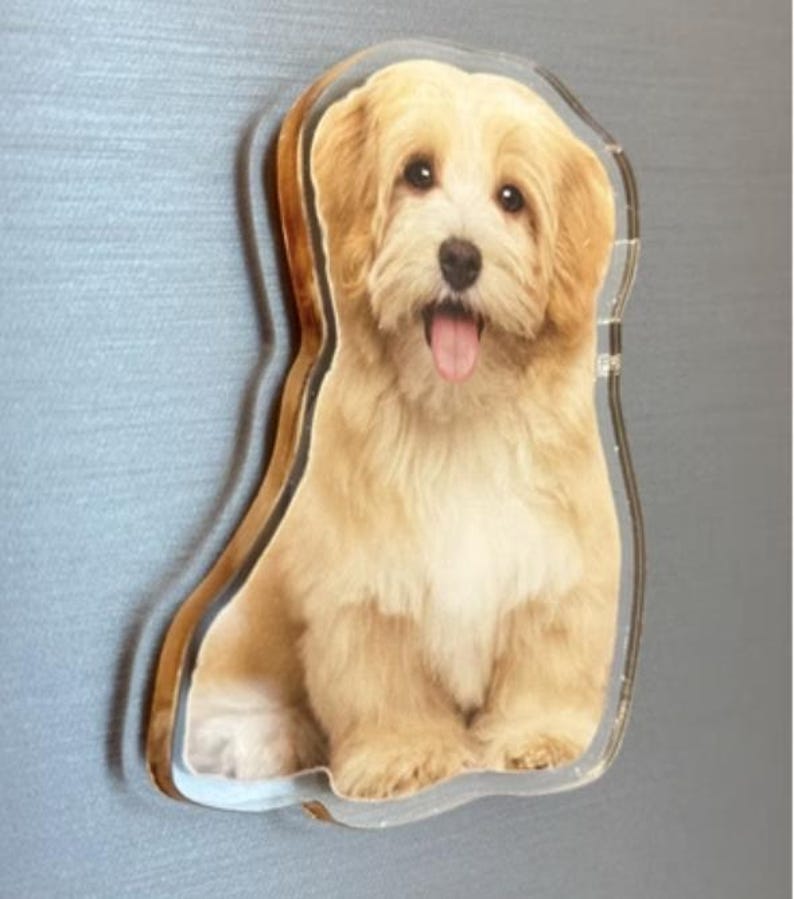 Custom Cat Magnet Personalized Pet Face Magnet
