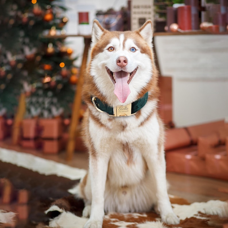 Personalize Dog Collar Leash Set with Bow Xmas Santa Collar for Puppies Engraved Pet Name