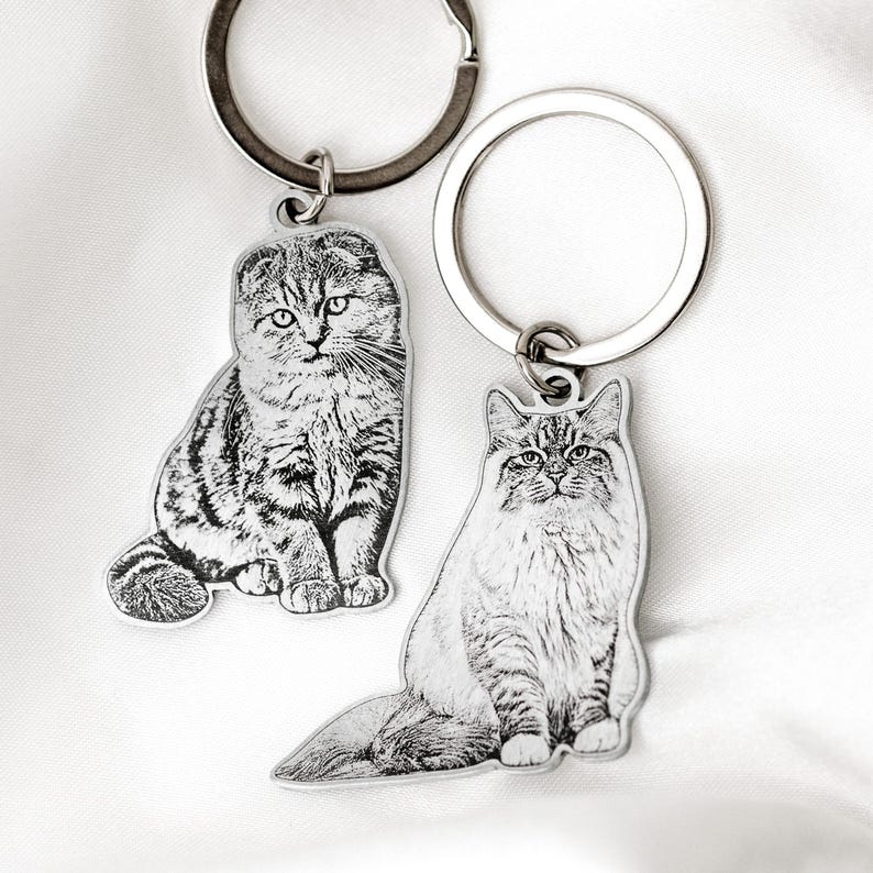 Custom pet portrait