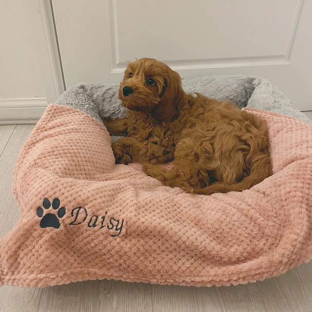 Personalized Warm Pet Blanket for Comfort & Unique