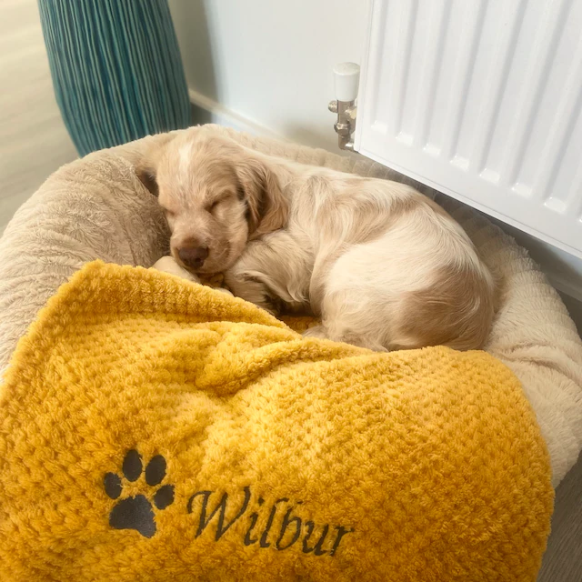 Personalized Warm Pet Blanket for Comfort & Unique