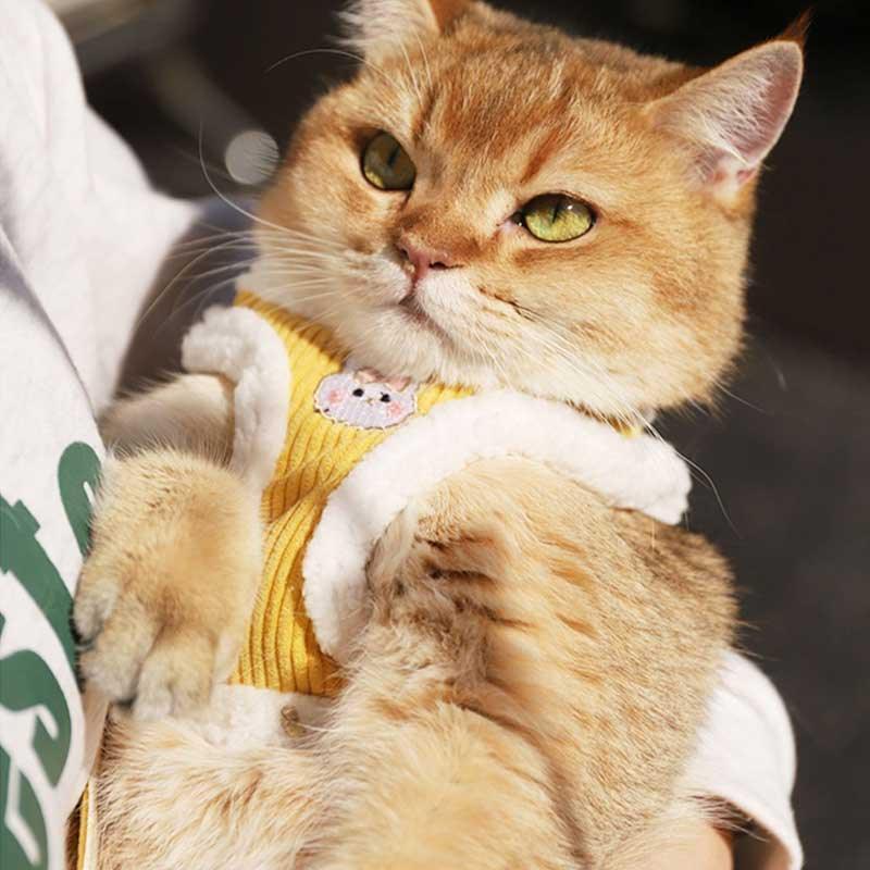 Rabbit Cat Harness Escape Proof 3 Color Vest Leash Set