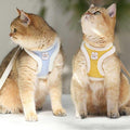 Escape-Proof Cat Harness Vest with Leash Set