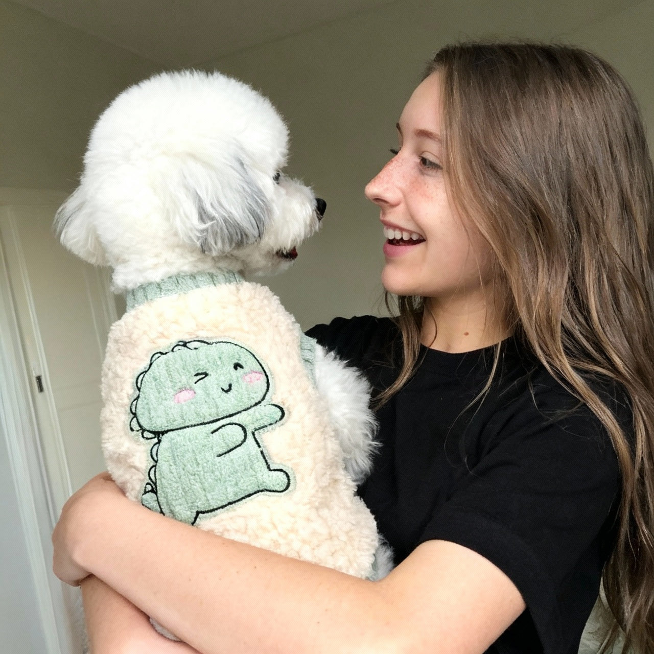 Dinosaur Sweater