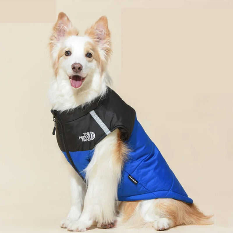 Water Resistant Insulated Dog Winter Coat