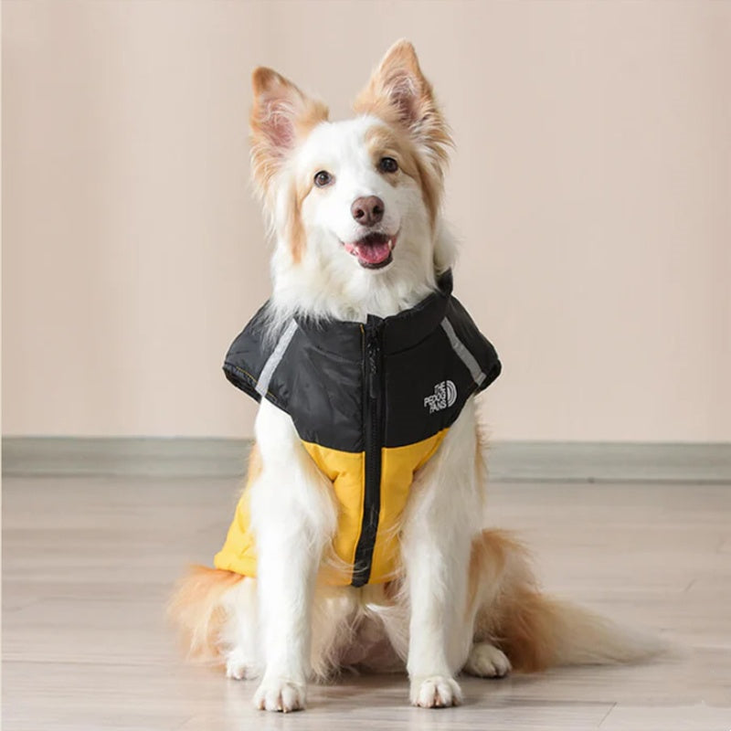 Water Resistant Insulated Dog Winter Coat